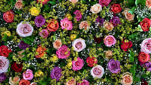 1668776 (a): :2560x1440